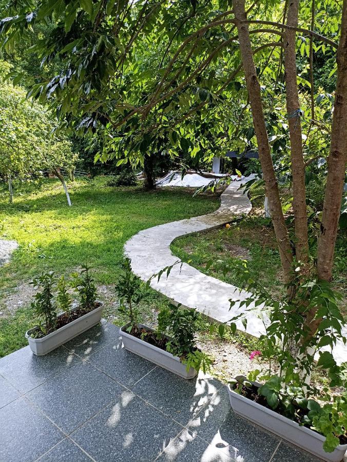 Woodland Paradise Gabala Exterior foto
